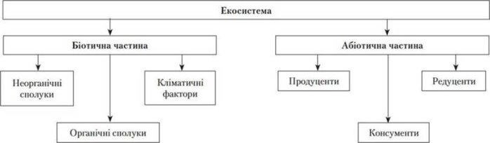 http://pidruchnik.info/biology/zno1/zno1.files/image117.jpg