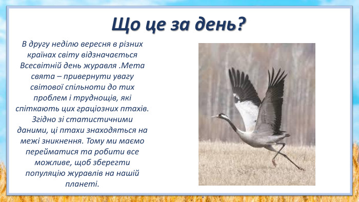 В другу неділю вересня в різних країнах світу відзначається Всесвітній день журавля . Мета свята – привернути увагу світової спільноти до тих проблем і труднощів, які спіткають цих граціозних птахів. Згідно зі статистичними даними, ці птахи знаходяться на межі зникнення. Тому ми маємо перейматися та робити все можливе, щоб зберегти популяцію журавлів на нашій планеті. Що це за день?