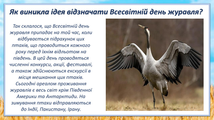 Так склалося, що Всесвітній день журавля припадає на той час, коли відбувається підрахунок цих птахів, що проводиться кожного року перед їхнім відльотом на південь. В цей день проводяться численні конкурси, акції, фестивалі, а також здійснюються екскурсії в місця мешкання цих птахів. Сьогодні ареалом проживання журавлів є весь світ крім Південної Америки та Антарктиди. На зимування птахи відправляються до Індії, Пакистану, Ірану. Як виникла ідея відзначати Всесвітній день журавля?