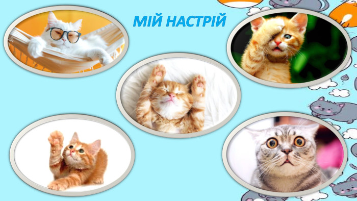 МІЙ НАСТРІЙ
