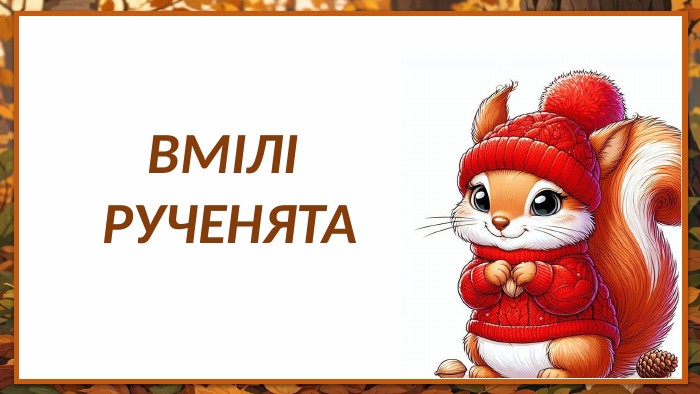 ВМІЛІ РУЧЕНЯТА