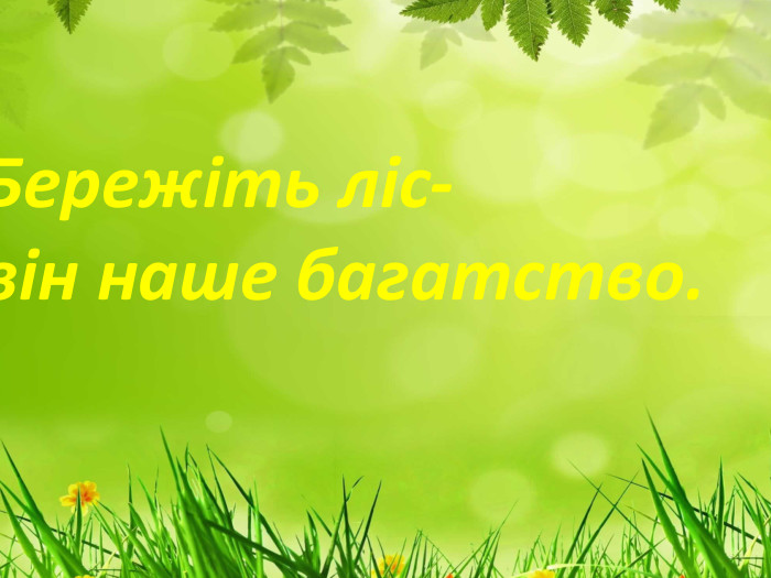 Бережіть ліс- він наше багатство.