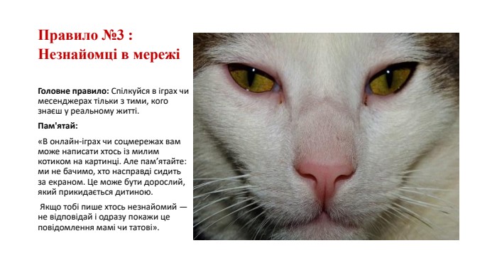 Правило №3 : Незнайомці в мережіГоловне правило: Спілкуйся в іграх чи месенджерах тільки з тими, кого знаєш у реальному житті. Пам'ятай: «В онлайн-іграх чи соцмережах вам може написати хтось із милим котиком на картинці. Але пам’ятайте: ми не бачимо, хто насправді сидить за екраном. Це може бути дорослий, який прикидається дитиною. Якщо тобі пише хтось незнайомий — не відповідай і одразу покажи це повідомлення мамі чи татові».