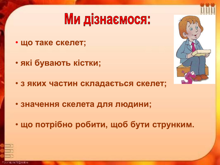  що таке скелет;   які бувають кістки;   з яких частин складається скелет;   значення скелета для людини;   що потрібно робити, щоб бути струнким. 