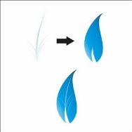Як зробити векторний квітковий логотип в CorelDraw
