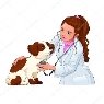 C:\Users\User\Desktop\depositphotos_48129423-stock-illustration-veterinary-with-dog.jpg