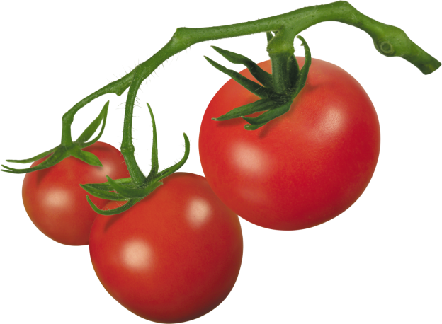 http://pngimg.com/uploads/tomato/tomato_PNG12519.png