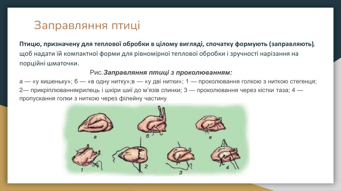Заправляння птиціПтицю, призначену для теплової обробки в цілому вигляді, спочатку формують (заправляють), щоб надати їй компактної форми для рівномірної теплової обробки і зручності нарізання на порційні шматочки. Рис. Заправляння птиці з проколюванням:а — «у кишеньку»; б — «в одну нитку»;в — «у дві нитки»; 1 — проколювання голкою з ниткою стегенця; 2— прикріплюваннякрилець і шкіри шиї до м’язів спинки; 3 — проколювання через кістки таза; 4 — пропускання голки з ниткою через філейну частину