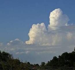 Картинки по запросу купчасті хмари