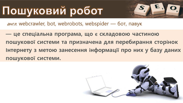 англ. webcrawler, bot, webrobots, webspider — бот, павук— це спеціальна програма, що є складовою частиною пошукової системи та призначена для перебирання сторінок Інтернету з метою занесення інформації про них у базу данихпошукової системи. Пошуковий робот