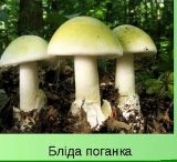 &Kcy;&acy;&rcy;&tcy;&icy;&ncy;&kcy;&icy; &pcy;&ocy; &zcy;&acy;&pcy;&rcy;&ocy;&scy;&ucy; &gcy;&rcy;&icy;&bcy;&icy; &yicy;&scy;&tcy;&iukcy;&vcy;&ncy;&iukcy; &tcy;&acy; &ocy;&tcy;&rcy;&ucy;&jcy;&ncy;&iukcy; 2 &kcy;&lcy;&acy;&scy;