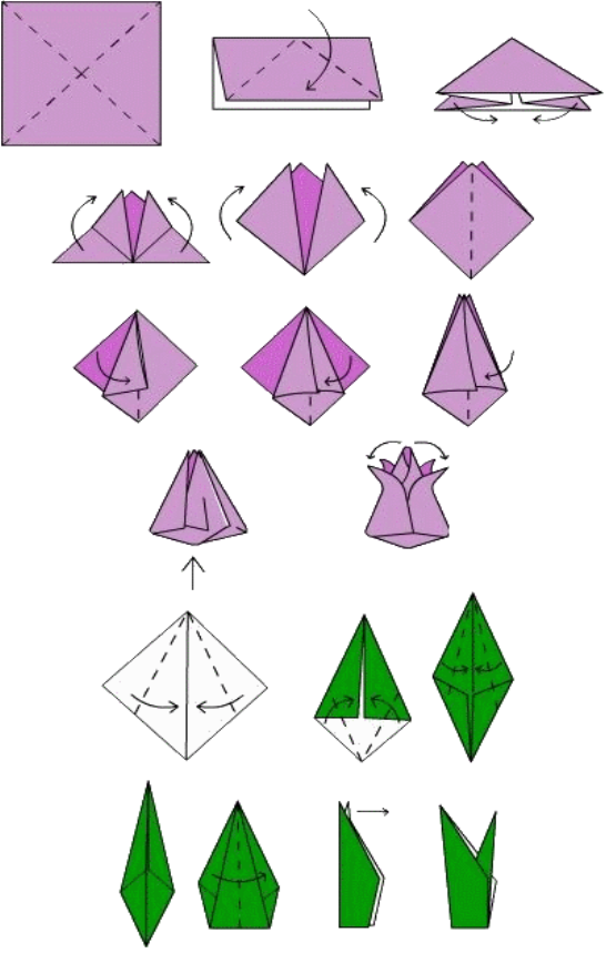 http://origami.ucoz.ru/shema_tulip.gif