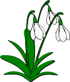 Snowdrops Lilies Of Valley Flowers On Trees Hq Wallpapers on 