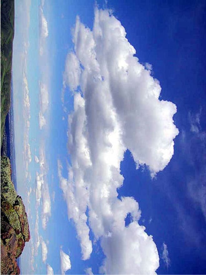 500px-Cumulus_clouds_in_fair_weather.jpeg
