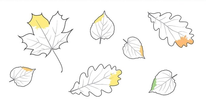 Картинки по запросу дерева і їх листя