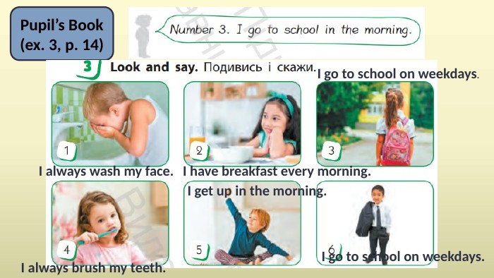 Pupil’s Book(ex. 3, p. 14)I always wash my face. I have breakfast every morning. I go to school on weekdays. I always brush my teeth. I get up in the morning. I go to school on weekdays.