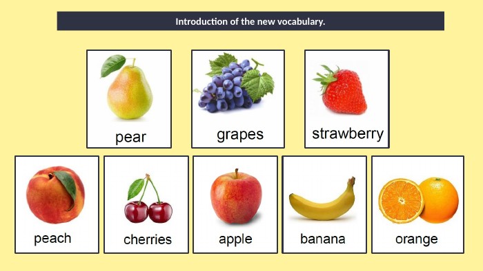 Introduction of the new vocabulary.