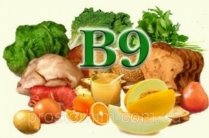 Картинки по запросу "пнг картинки продукты источники витамина в9"