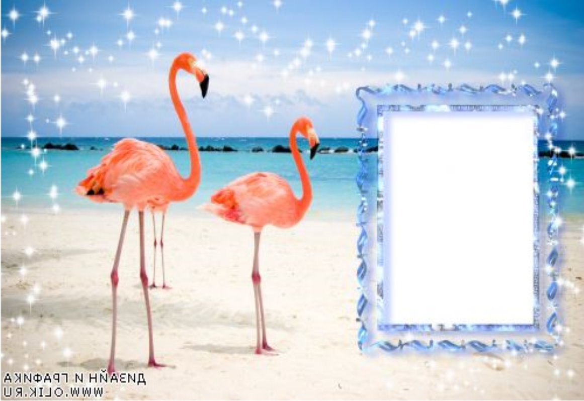 C:\Users\user\Desktop\Новая папка (2)\1246212768_0lik.ru_rozovyjj-flamingo-kopija.jpg