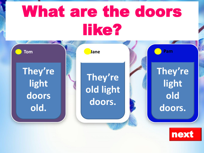 next. They’re light doors old. Tom. They’re light old doors. Pam. They’re old light doors. Jane. What are the doors like? 