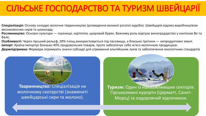 Спеціалізація: Основу складає молочне тваринництво (розведення великої рогатої худоби). Швейцарія відома виробництвом високоякісних сирів та шоколаду. Рослинництво: Основні культури — пшениця, картопля, цукровий буряк. Важливу роль відіграє виноградарство у кантонах Во та Вале. Особливості: Через гірський рельєф, 28% площ використовується під пасовища, а близько третини — непродуктивні землі.Імпорт: Країна імпортує близько 40% продовольчих товарів, проте забезпечує себе м'ясо-молочною продукцією. Держпідтримка: Фермери отримують значні субсидії для утримання альпійських луків та забезпечення екологічних стандартів. СІЛЬСЬКЕ ГОСПОДАРСТВО ТА ТУРИЗМ ШВЕЙЦАРІЇ