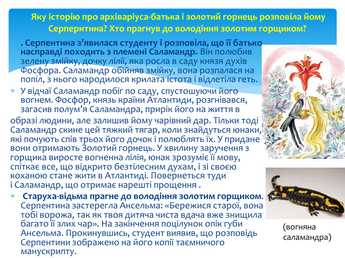 . Серпентина з’явилася студенту і розповіла, що її батько насправді походить з племені Саламандр. Він полюбив зелену змійку, дочку лілії, яка росла в саду князя духів Фосфора. Саламандр обійняв змійку, вона розпалася на попіл, з нього народилося крилата істота і відлетіла геть. У відчаї Саламандр побіг по саду, спустошуючи його вогнем. Фосфор, князь країни Атлантиди, розгнівався, загасив полум’я Саламандра, прирік його на життя в образі людини, але залишив йому чарівний дар. Тільки тоді Саламандр скине цей тяжкий тягар, коли знайдуться юнаки, які почують спів трьох його дочок і полюблять їх. У придане вони отримають Золотий горнець. У хвилину заручення з горщика виросте вогненна лілія, юнак зрозуміє її мову, спіткає все, що відкрито безтілесним духам, і зі своєю коханою стане жити в Атлантиді. Повернеться туди і Саламандр, що отримає нарешті прощення . Старуха-відьма прагне до володіння золотим горщиком. Серпентина застерегла Ансельма: «Бережися старої, вона тобі ворожа, так як твоя дитяча чиста вдача вже знищила багато її злих чар». На закінчення поцілунок опік губи Ансельма. Прокинувшись, студент виявив, що розповідь Серпентини зображено на його копії таємничого манускрипту. Яку історію про архіваріуса-батька і золотий горнець розповіла йому Серпернтина? Хто прагнув до володіння золотим горщиком? (вогняна саламандра)