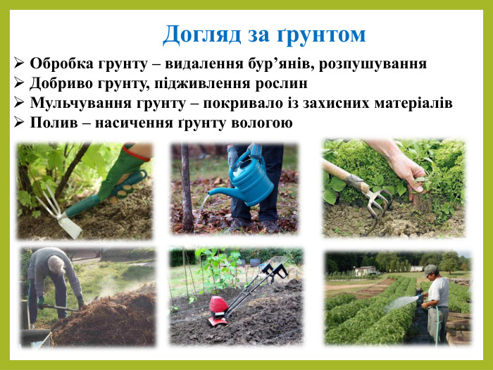 Догляд за ґрунтом Обробка грунту – видалення бур’янів, розпушування Добриво грунту, підживлення рослин Мульчування грунту – покривало із захисних матеріалів Полив – насичення ґрунту вологою