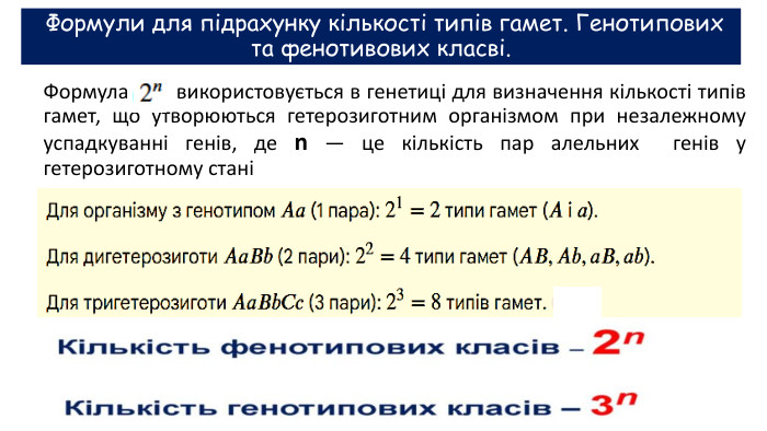  Формули для підрахунку кількості типів гамет. Генотипових та фенотивових класві. Формула використовується в генетиці для визначення кількості типів гамет, що утворюються гетерозиготним організмом при незалежному успадкуванні генів, де n — це кількість пар алельних генів у гетерозиготному стані