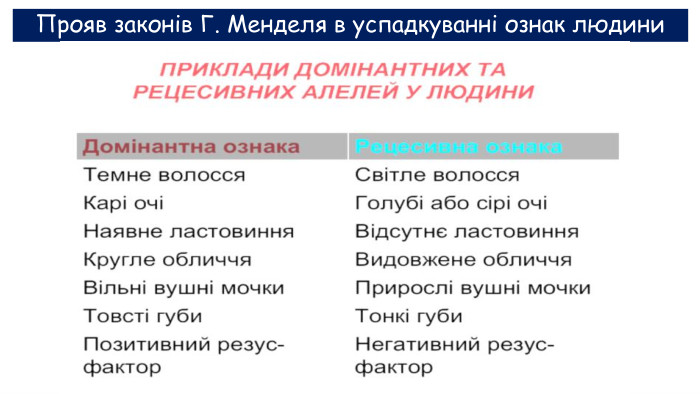 Прояв законів Г. Менделя в успадкуванні ознак людини