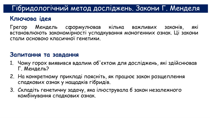 Гібридологічний метод досліджень. Закони Г. Менделя. Ключова ідея. Грегор Мендель сформулював кілька важливих законів, які встановлюють закономірності успадкування моногенних ознак. Ці закони стали основою класичної генетики. Запитання та завдання. Чому горох виявився вдалим об'єктом для досліджень, які здійснював Г. Мендель? На конкретному прикладі поясніть, як працює закон розщеплення спадкових ознак у нащадків гібридів. Складіть генетичну задачу, яка ілюструвала б закон незалежного комбінування спадкових ознак.