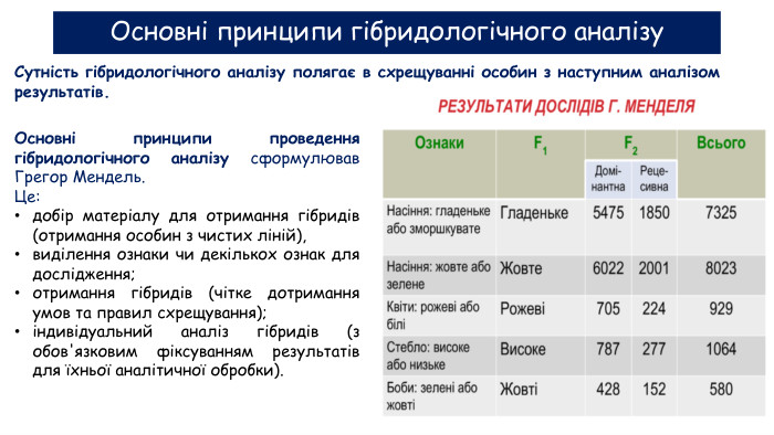 Основні принципи гібридологічного аналізу. Основні принципи проведення гібридологічного аналізу сформулював Грегор Мендель. Це:добір матеріалу для отримання гібридів (отримання особин з чистих ліній), виділення ознаки чи декількох ознак для дослідження;отримання гібридів (чітке дотримання умов та правил схрещування);індивідуальний аналіз гібридів (з обов'язковим фіксуванням результатів для їхньої аналітичної обробки). Сутність гібридологічного аналізу полягає в схрещуванні особин з наступним аналізом результатів.
