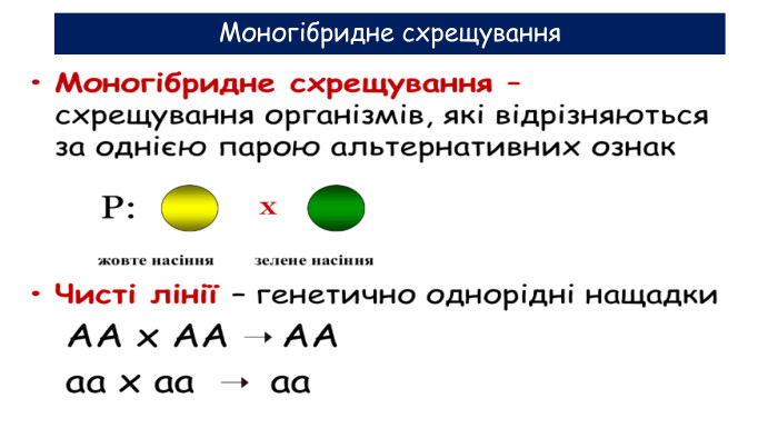 Моногібридне схрещування