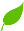 Картинки по запросу анімація листочок зелений