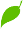 Картинки по запросу анімація листочок зелений