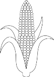 Lineart of Corn to Color In | Ears of corn, Free clip art ...