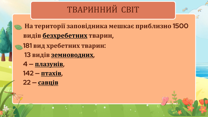 ТВАРИННИЙ СВІТ На території заповідника мешкає приблизно 1500 видів безхребетних тварин,181 вид хребетних тварин: 13 видів земноводних, 4 — плазунів, 142 — птахів, 22 — савців