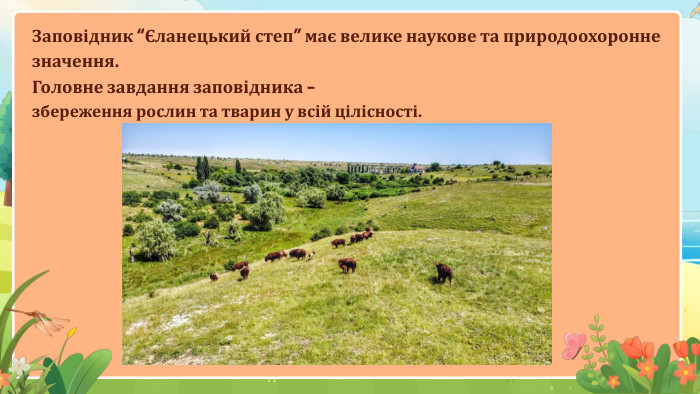 Заповідник “Єланецький степ” має велике наукове та природоохоронне значення. Головне завдання заповідника -збереження рослин та тварин у всій цілісності.
