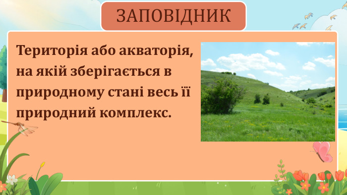 Територія або акваторія, на якій зберігається в природному стані весь її природний комплекс. ЗАПОВІДНИК