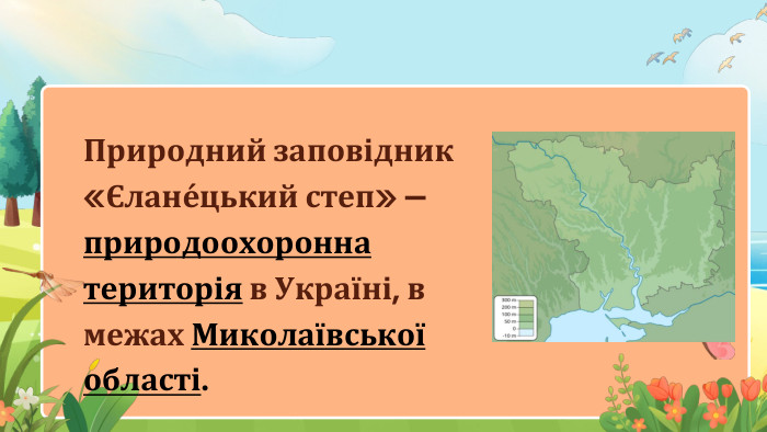Природний заповідник «Єлане́цький степ» — природоохоронна територія в Україні, в межах Миколаївської області.