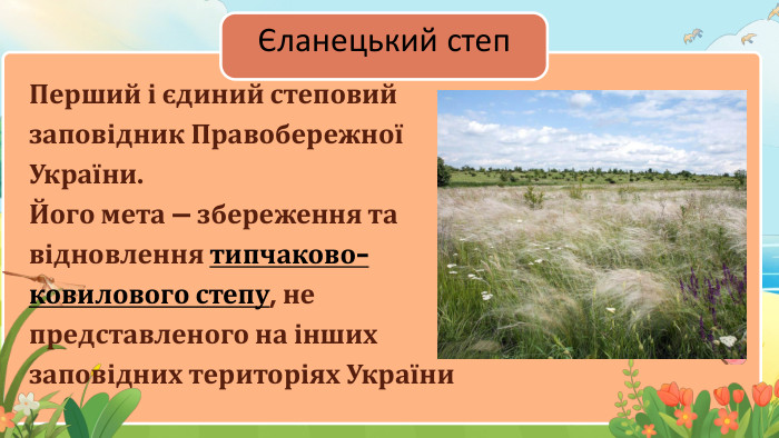 Єланецький степ. Перший і єдиний степовий заповідник Правобережної України. Його мета — збереження та відновлення типчаково-ковилового степу, не представленого на інших заповідних територіях України