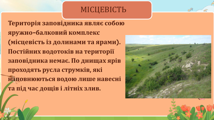 Територія заповідника являє собою яружно-балковий комплекс (місцевість із долинами та ярами). Постійних водотоків на території заповідника немає. По днищах ярів проходять русла струмків, які наповнюються водою лише навесні та під час дощів і літніх злив. МІСЦЕВІСТЬ