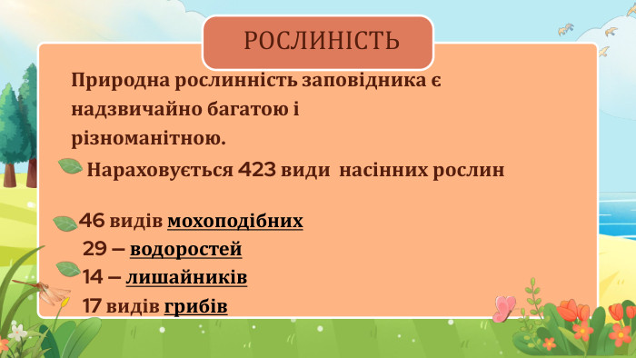 РОСЛИНІСТЬПриродна рослинність заповідника є надзвичайно багатою і різноманітною. Нараховується 423 види насінних рослин 46 видів мохоподібних 29 — водоростей 14 — лишайників 17 видів грибів