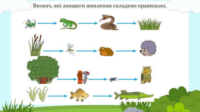 Визнач, які ланцюги живлення складено правильно.