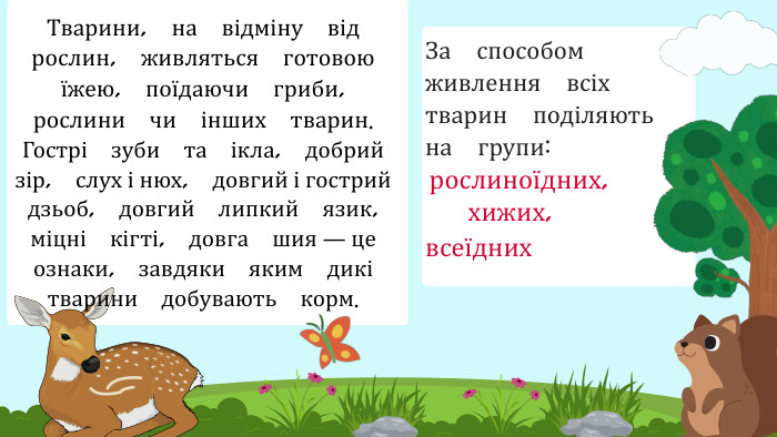 рослиноїдних,хижих,всеїдних. За способом живлення всіх тварин поділяють на групи: Тварини, на відміну від рослин, живляться готовою їжею, поїдаючи гриби, рослини чи інших тварин. Гострі зуби та ікла, добрий зір, слух і нюх, довгий і гострий дзьоб, довгий липкий язик, міцні кігті, довга шия — це ознаки, завдяки яким дикі тварини добувають корм.