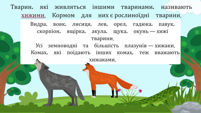 Тварин, які живляться іншими тваринами, називають хижими. Кормом для них є рослиноїдні тварини. Видра, вовк, лисиця, лев, орел, гадюка, павук, скорпіон, ящірка, акула, щука, окунь — хижі тварини. Усі земноводні та більшість плазунів — хижаки. Комах, які поїдають інших комах, теж вважають хижаками.