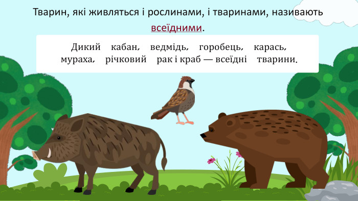 Дикий кабан, ведмідь, горобець, карась, мураха, річковий рак і краб — всеїдні тварини. Тварин, які живляться і рослинами, і тваринами, називають всеїдними. 