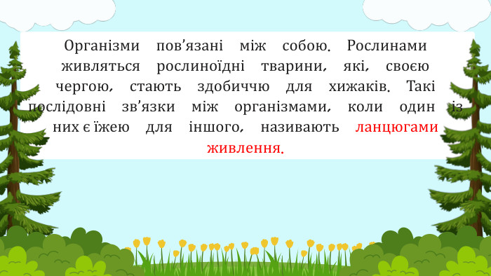 Організми пов’язані між собою. Рослинами живляться рослиноїдні тварини, які, своєю чергою, стають здобиччю для хижаків. Такі послідовні зв’язки між організмами, коли один із них є їжею для іншого, називають ланцюгами живлення.