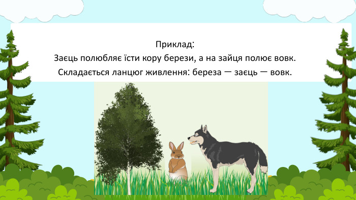 Приклад: Заєць полюбляє їсти кору берези, а на зайця полює вовк. Складається ланцюг живлення: береза — заєць — вовк.