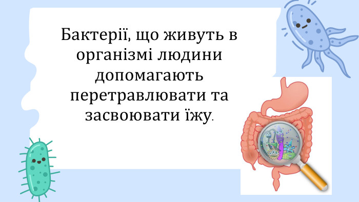 Бактерії, що живуть в організмі людини допомагають перетравлювати та засвоювати їжу.
