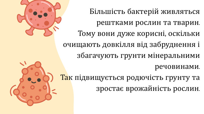 Більшість бактерій живляться рештками рослин та тварин. Тому вони дуже корисні, оскільки очищають довкілля від забруднення і збагачують грунти мінеральними речовинами. Так підвищується родючість грунту та зростає врожайність рослин.